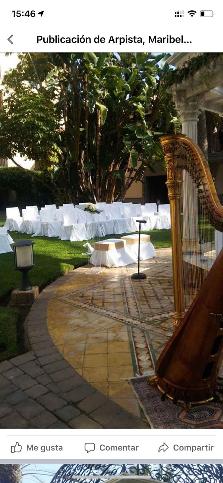 Arpista en directo para la ceremonia ? - 1