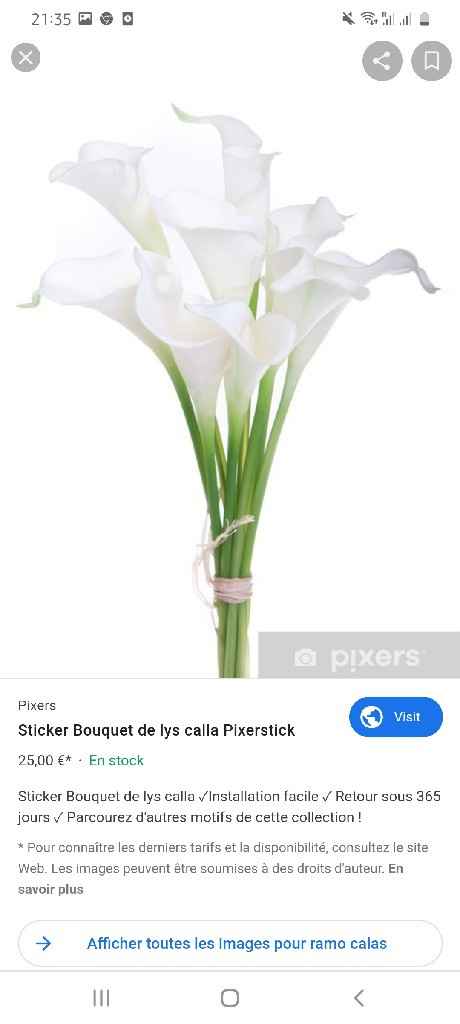 Qué pensais de los bouquet hoops? - 2