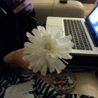 Flor 6 # flores de papel