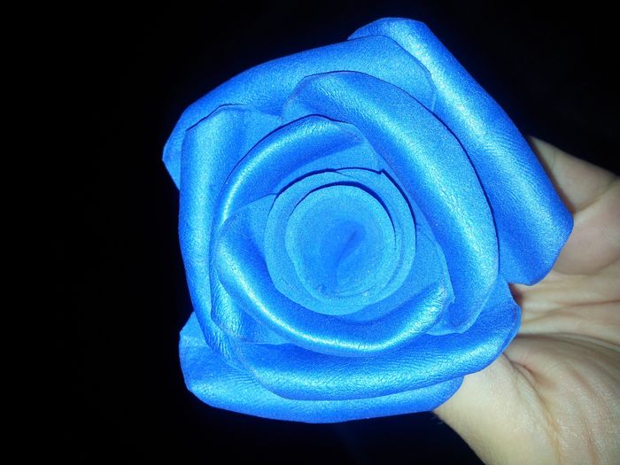 rosa azul
