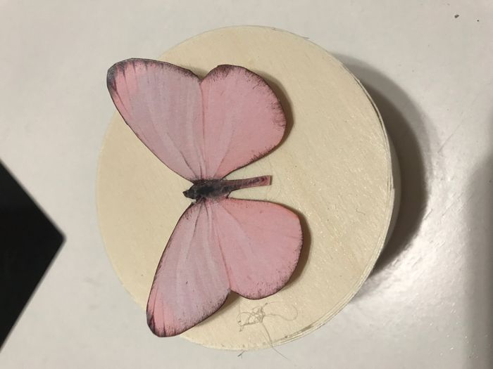  Mariposas para el pelo - 4