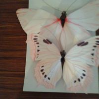 Mariposas decoración de papel