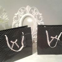 BOLSAS PRESENTACIÓN ADOLESCENTES