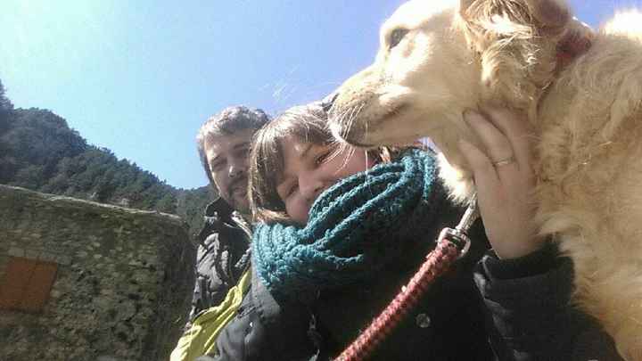 ¿a alguien le ha llevado las alianzas su perro? - 1