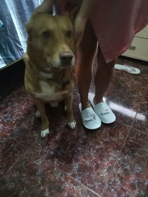 Ya tengo todo para cuando me arreglen - 2