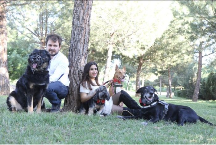 Preboda - 2