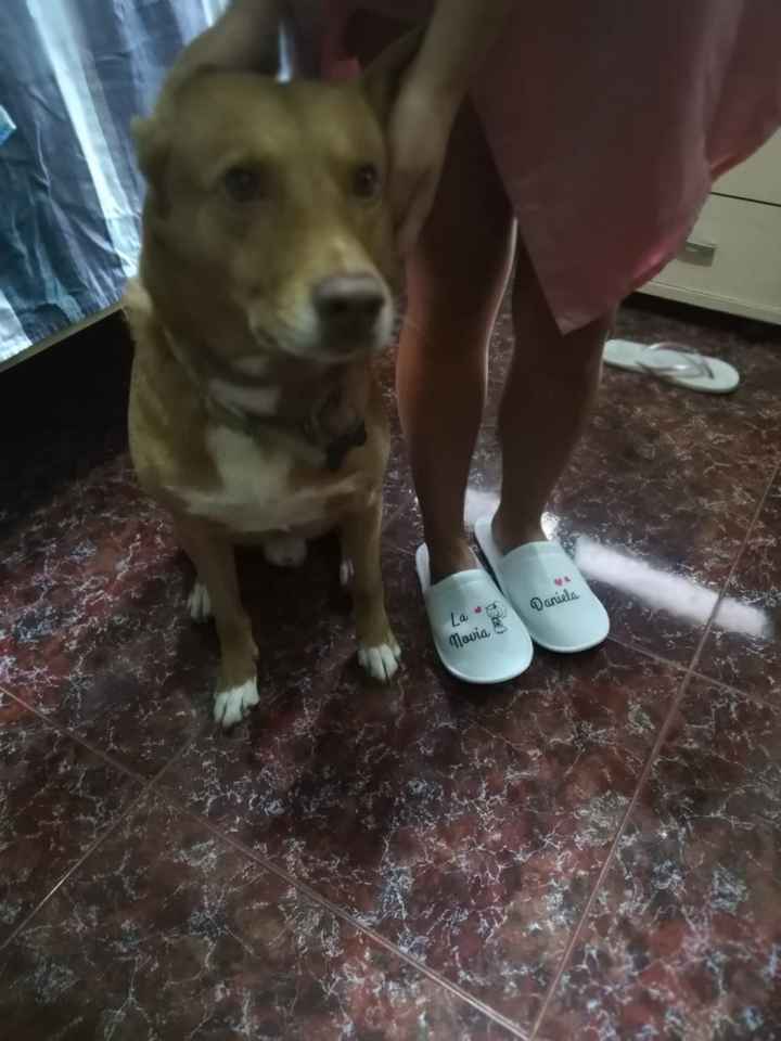 Ya tengo todo para cuando me arreglen - 2