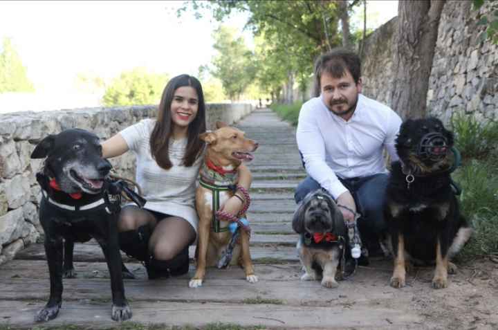 Preboda - 1