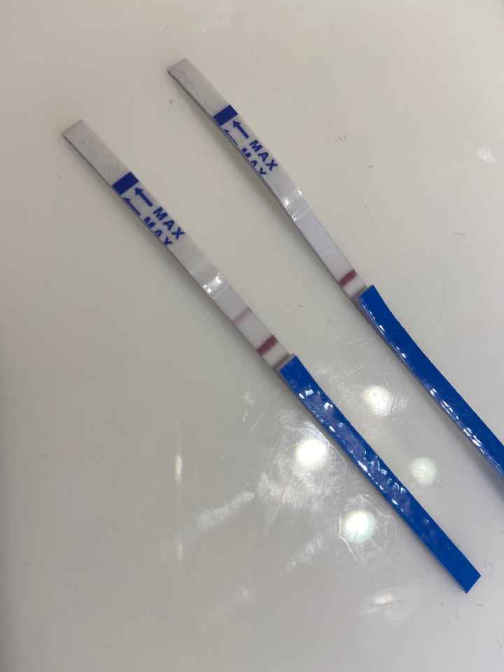 Futuras mamis Junio 2022!! - 1