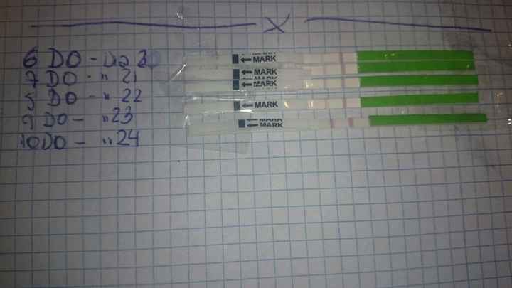 Los test de ovulaciÓn predicen el embarazo? - 1