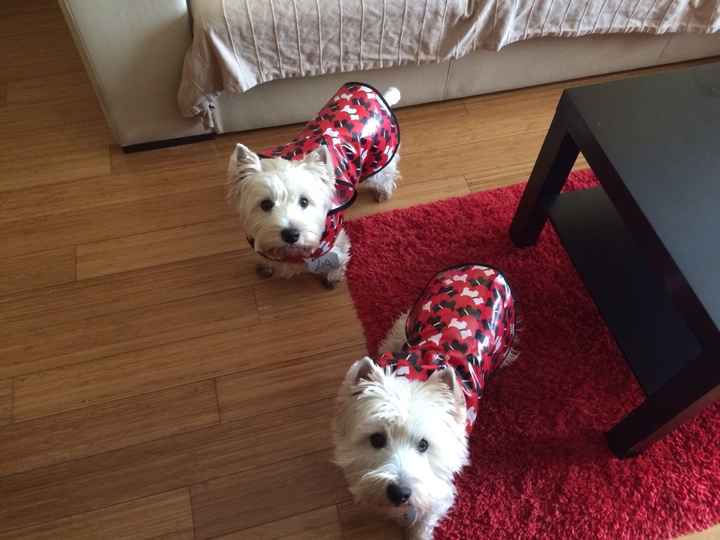Nuestras nenas!! Noa y lía!!