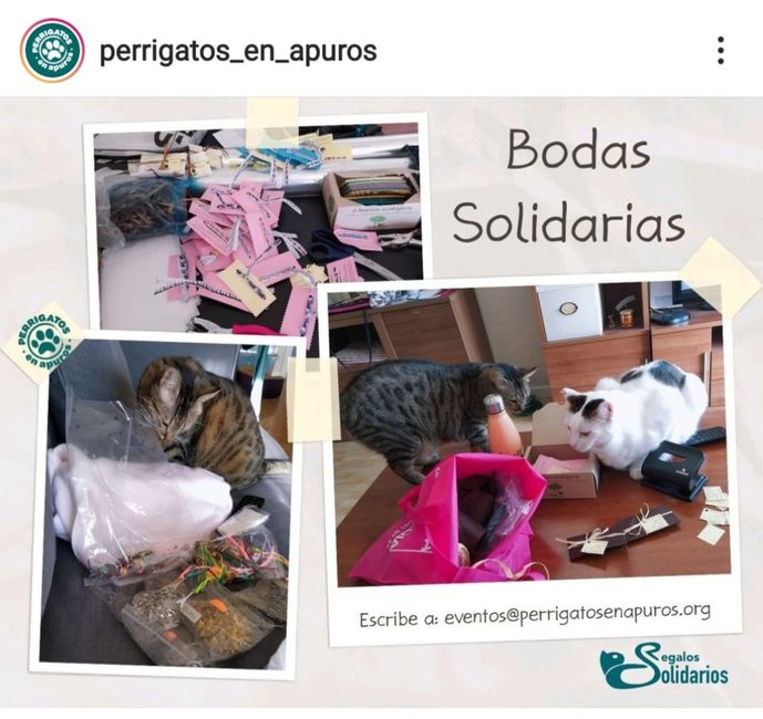 Detalles solidarios protectora de animales 5