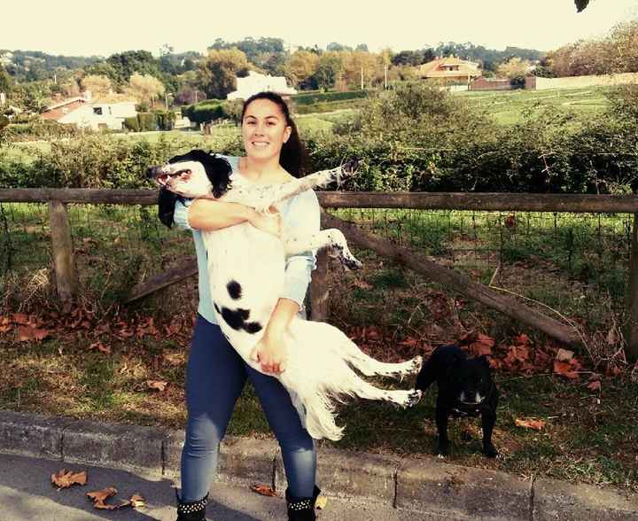 No sin mis perros!! - 1