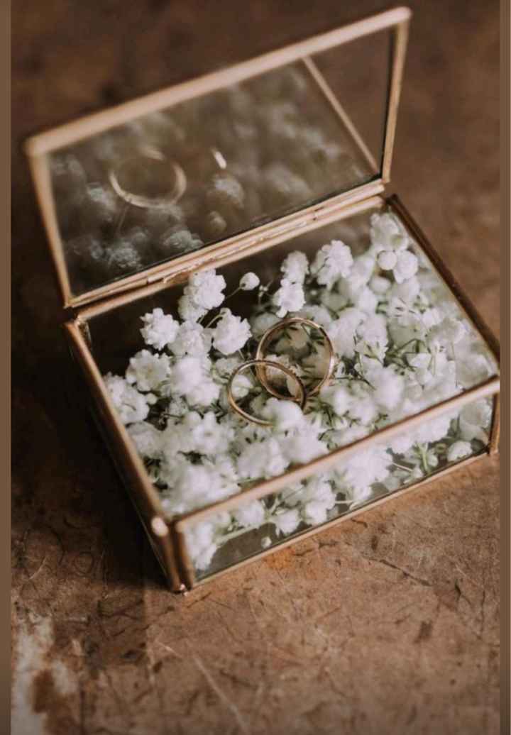 Cojín anillos o que? - 2