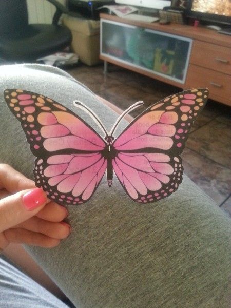 Mariposas agradecimiento - 1