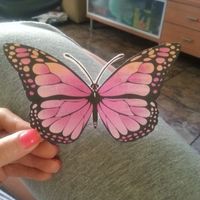 Plantilla mariposas - 4
