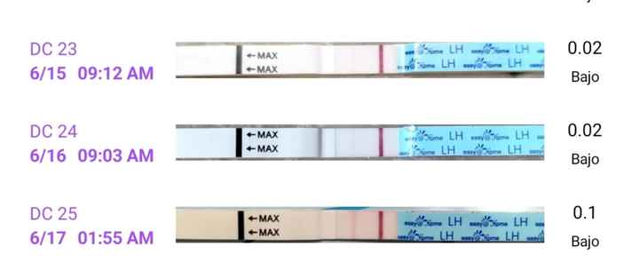 💐 Buscadoras junio 2025 🍀🫂🙌 - 1