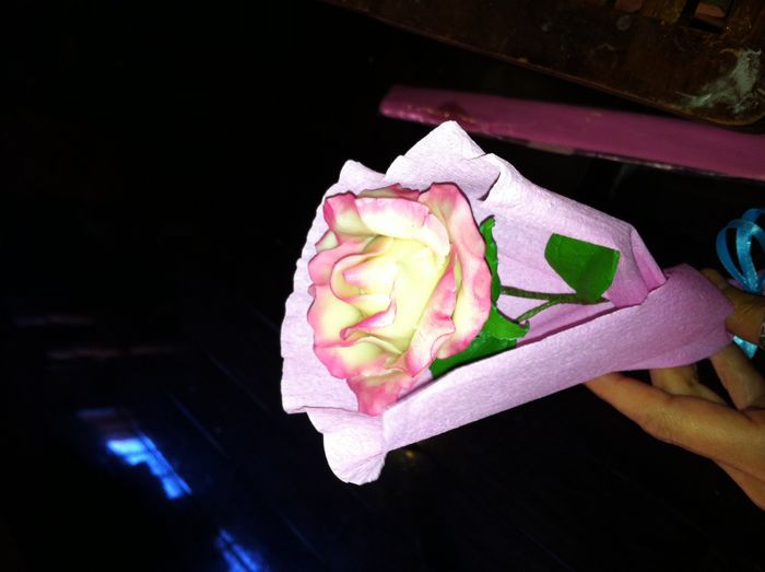 rosa porcelana fria