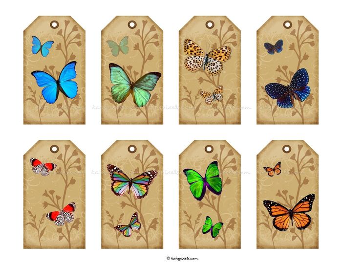 etiquetas de mariposas