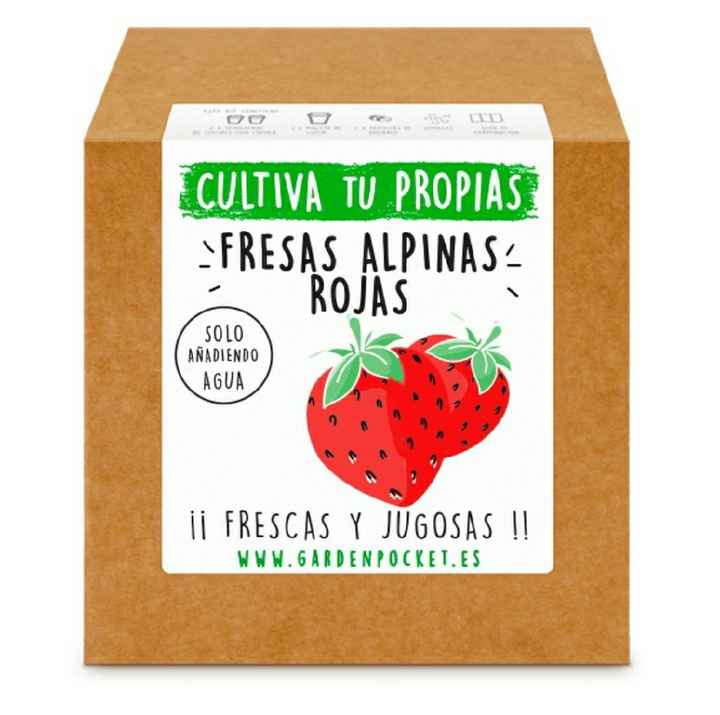 Regalo Peques - Kit Cultivo - 3