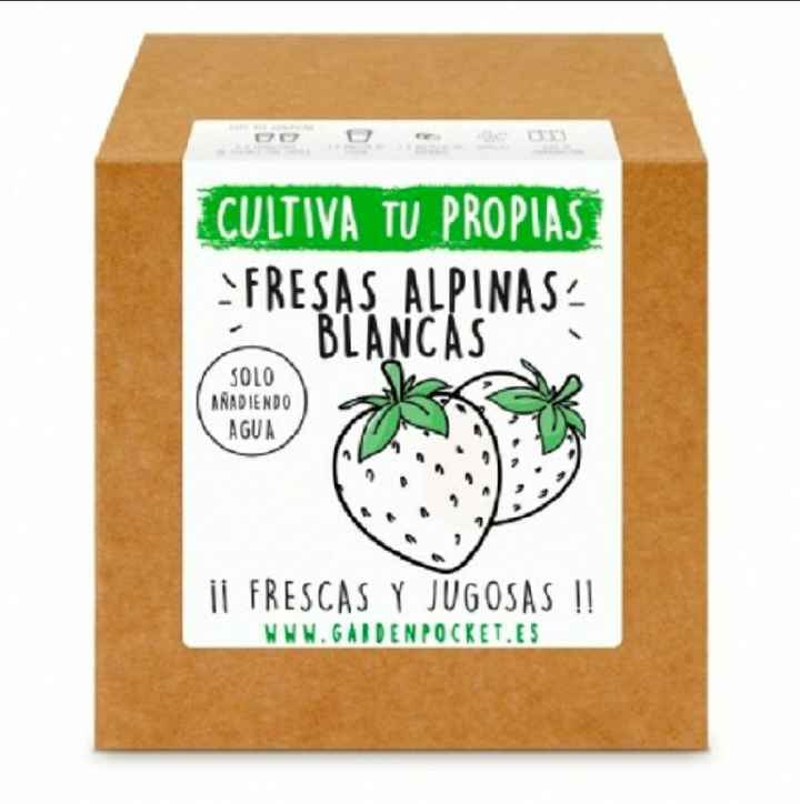 Regalo Peques - Kit Cultivo - 5