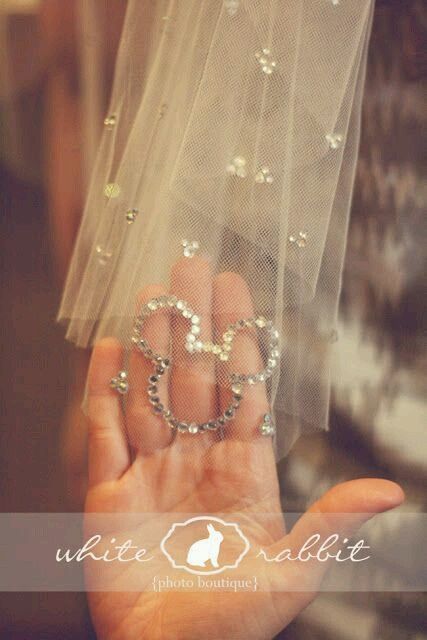 Bodas disney - 32