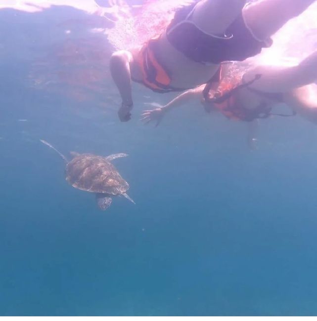 Grand Palladium Colonial resort & spa Riviera Maya 2