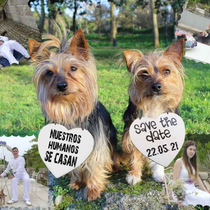 Invitaciones junto a tus peluditos ✉️ - 1