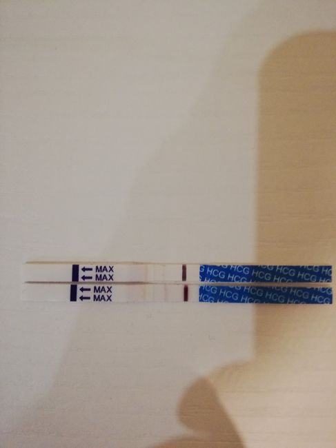 Ovitrelle y test de embarazo positivo! Ayuda 🙏🙏 - 1