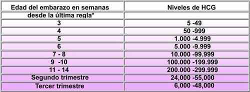 buscadoras febrero 2020 - 1