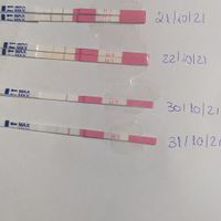 💚Buscadoras Octubre 2021 💚 - 1