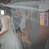 vestido pronovias velo can can