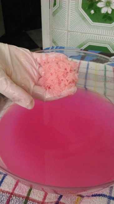 Prueba de arroz - 4