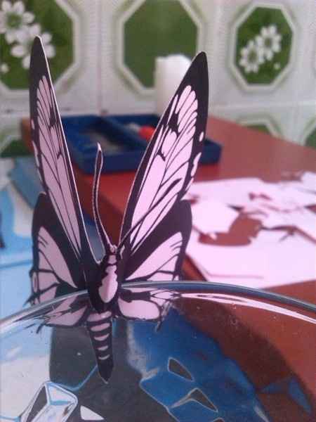 Plantilla mariposas de agradecimiento - 2