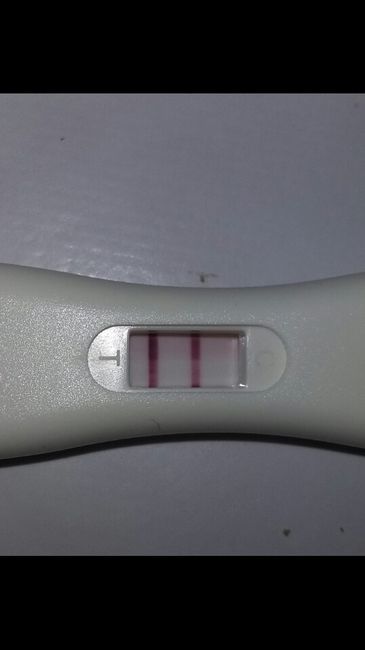 Ayuda! estoy embarazada!??? - 1