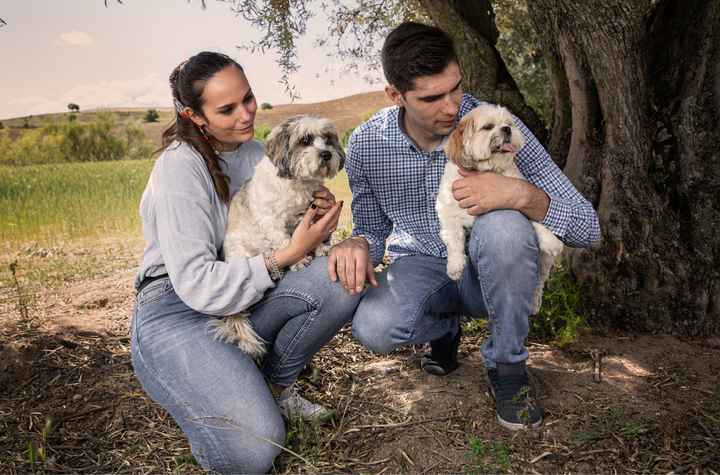 Por fin las fotos de la pre boda - 2