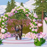 Pinkfairy
