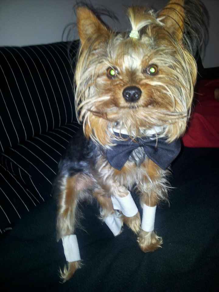 El mejor invitado de todos jijiji