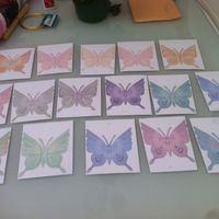 Mariposas agradecimiento