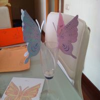 Mariposas agradecimiento