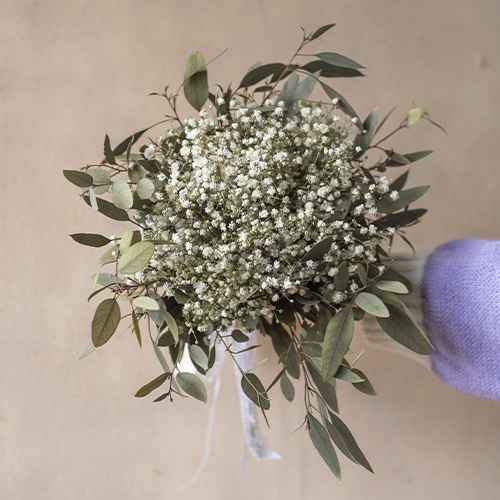 Que ramo os gusta mas? 1