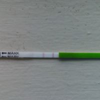 Test ovulacion