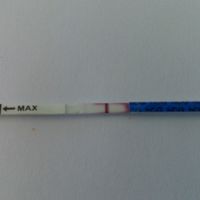 test embarazo