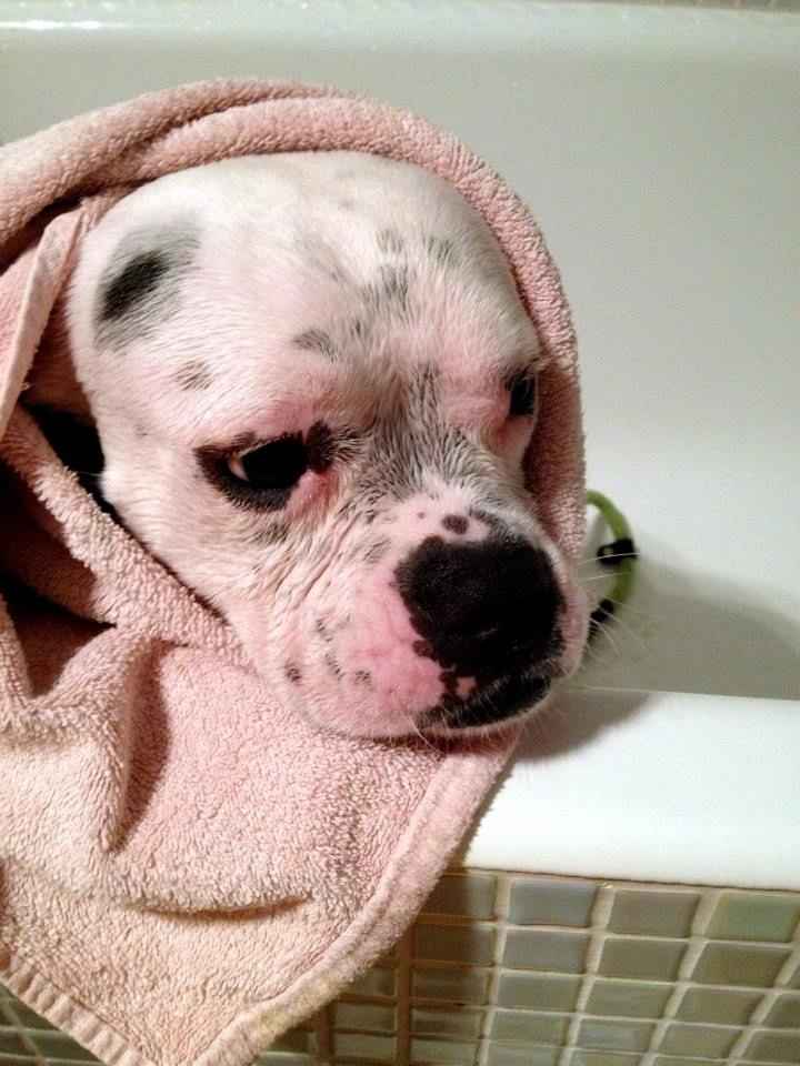 después de la ducha