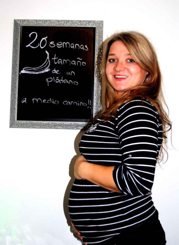 20 semanas