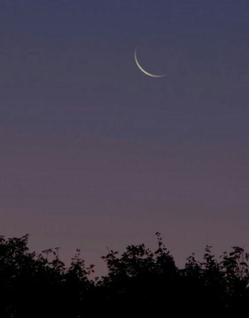 Luna el día de vuestra boda 24-6-17 - 1