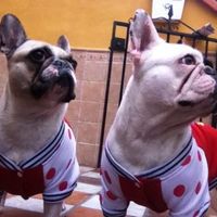 Nuestras mascotas!! - 1