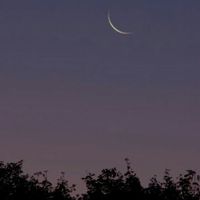 Luna el día de vuestra boda 24-6-17 - 1