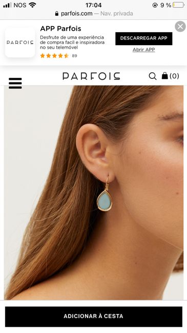 Accesorio pelo y pendientes - 4