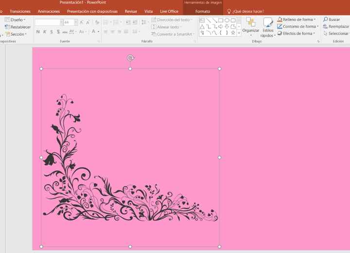 imagen4
